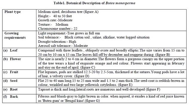 Butea monosperma lists