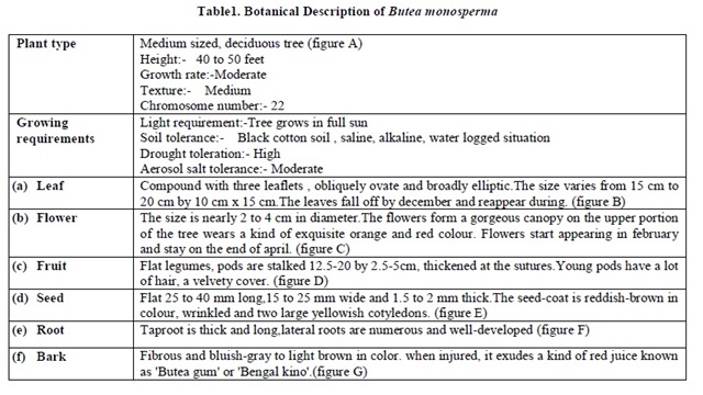 Butea monosperma lists